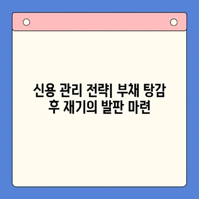 개인회생 vs 채무통합 대환대출| 나에게 유리한 변제율은? | 부채 해결, 신용 관리, 재정 설계