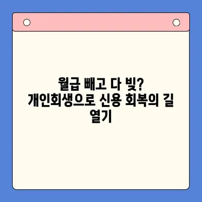 직장인 채무 통합 대환 대출, 유리한 개인회생 제도 활용 가이드 |  빚 탕감, 신용 회복, 재정 관리