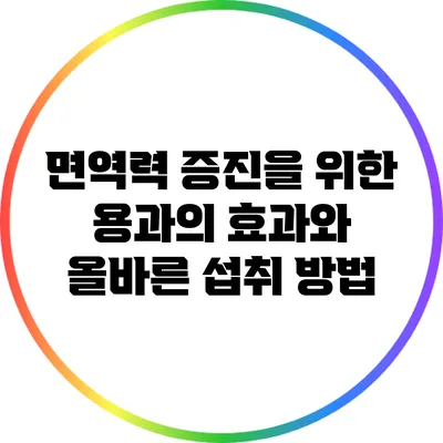 면역력 증진을 위한 용과의 효과와 올바른 섭취 방법