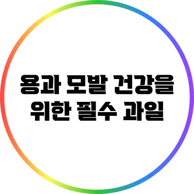 용과: 모발 건강을 위한 필수 과일