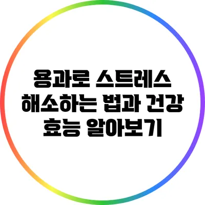 용과로 스트레스 해소하는 법과 건강 효능 알아보기