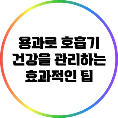 용과로 호흡기 건강을 관리하는 효과적인 팁