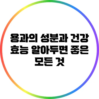 용과의 성분과 건강 효능: 알아두면 좋은 모든 것