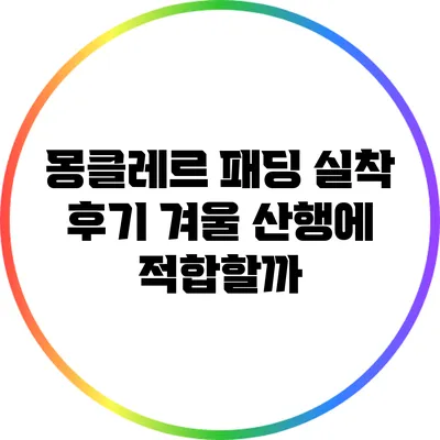 몽클레르 패딩 실착 후기: 겨울 산행에 적합할까?