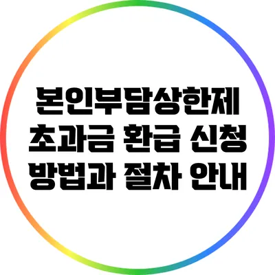 본인부담상한제 초과금 환급 신청 방법과 절차 안내