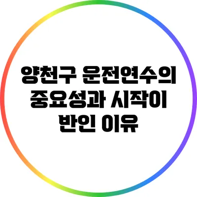 양천구 운전연수의 중요성과 시작이 반인 이유