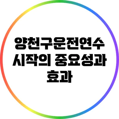 양천구운전연수 시작의 중요성과 효과