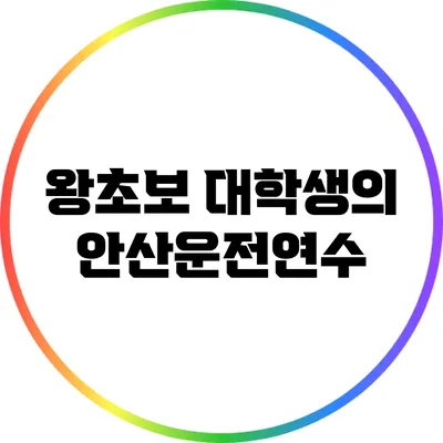 왕초보 대학생의 안산운전연수