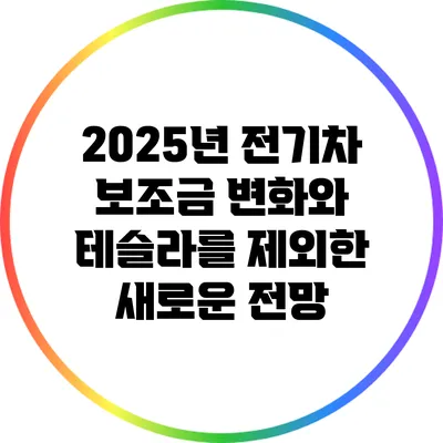 2025년 전기차 보조금 변화와 테슬라를 제외한 새로운 전망