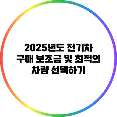 2025년도 전기차 구매 보조금 및 최적의 차량 선택하기