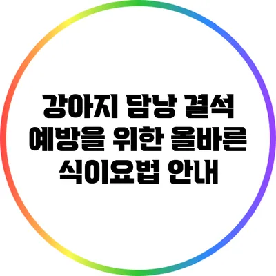 강아지 담낭 결석 예방을 위한 올바른 식이요법 안내