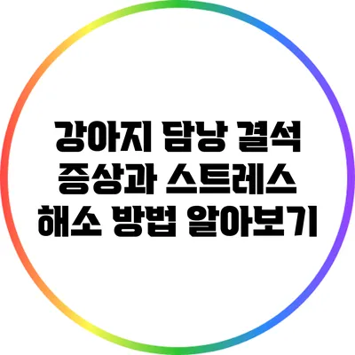 강아지 담낭 결석 증상과 스트레스 해소 방법 알아보기