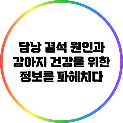 담낭 결석 원인과 강아지 건강을 위한 정보를 파헤치다