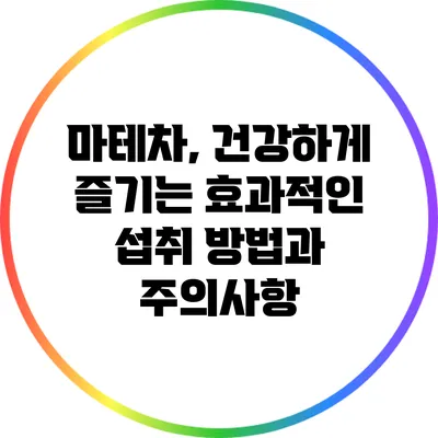 마테차, 건강하게 즐기는 효과적인 섭취 방법과 주의사항