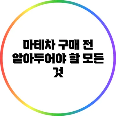 마테차 구매 전 알아두어야 할 모든 것