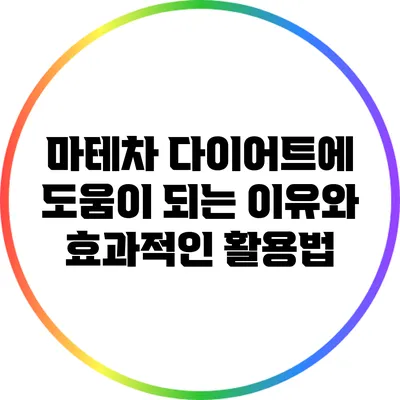 마테차: 다이어트에 도움이 되는 이유와 효과적인 활용법