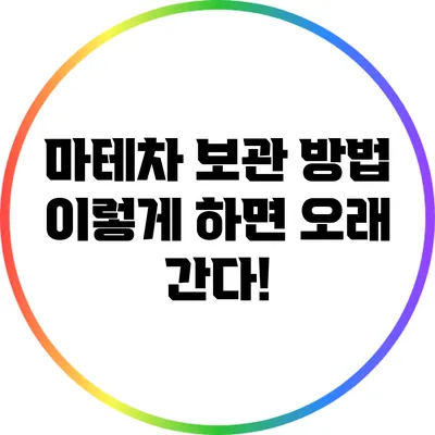 마테차 보관 방법: 이렇게 하면 오래 간다!