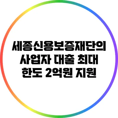 세종신용보증재단의 사업자 대출 최대 한도 2억원 지원