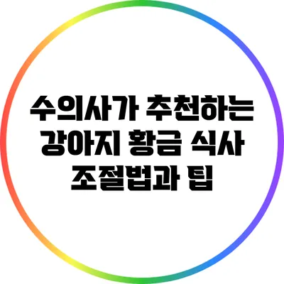 수의사가 추천하는 강아지 황금 식사 조절법과 팁