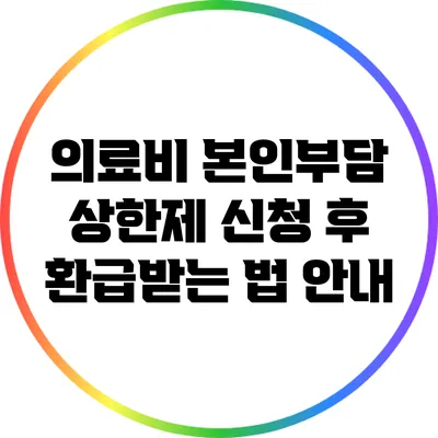 의료비 본인부담 상한제 신청 후 환급받는 법 안내