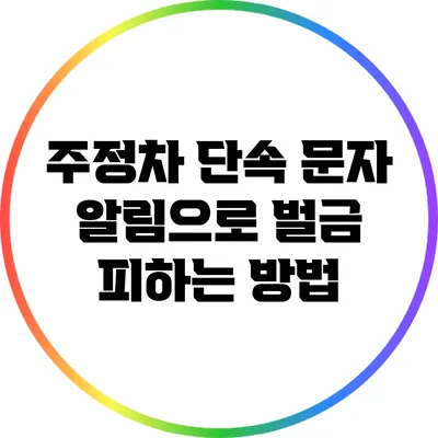 주정차 단속 문자 알림으로 벌금 피하는 방법