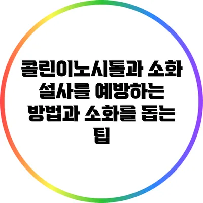 콜린이노시톨과 소화: 설사를 예방하는 방법과 소화를 돕는 팁