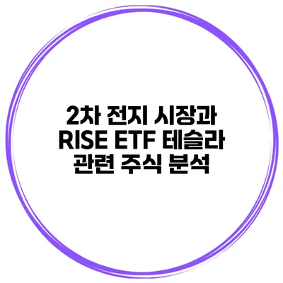 2차 전지 시장과 RISE ETF 테슬라 관련 주식 분석
