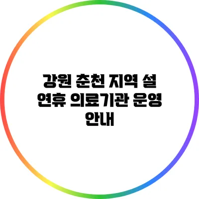 강원 춘천 지역 설 연휴 의료기관 운영 안내
