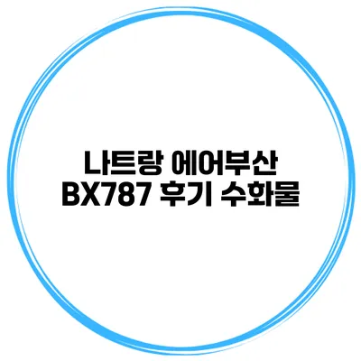 나트랑 에어부산 BX787 후기: 수화물