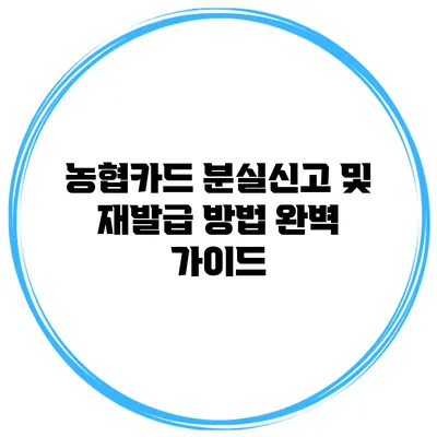 농협카드 분실신고 및 재발급 방법 완벽 가이드