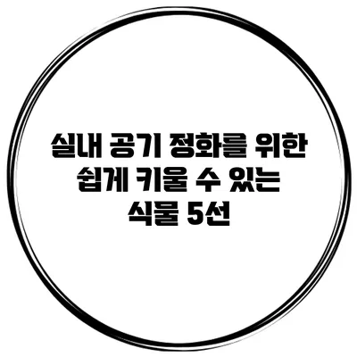 실내 공기 정화를 위한 쉽게 키울 수 있는 식물 5선