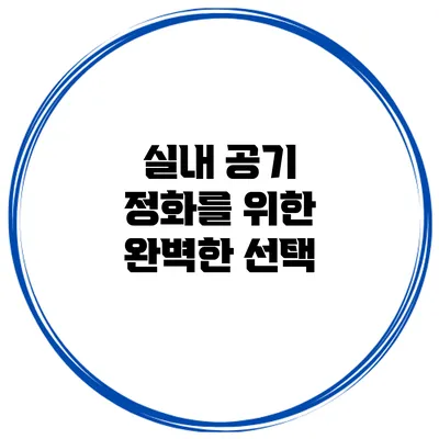 실내 공기 정화를 위한 완벽한 선택