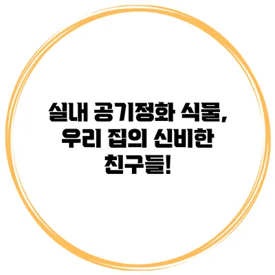 실내 공기정화 식물, 우리 집의 신비한 친구들!