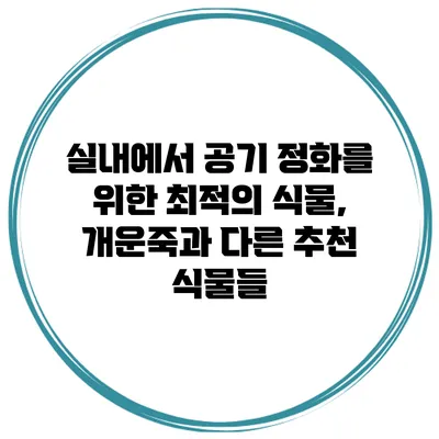 실내에서 공기 정화를 위한 최적의 식물, 개운죽과 다른 추천 식물들