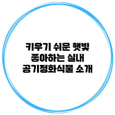 키우기 쉬운 햇빛 좋아하는 실내 공기정화식물 소개
