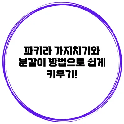 파키라 가지치기와 분갈이 방법으로 쉽게 키우기!