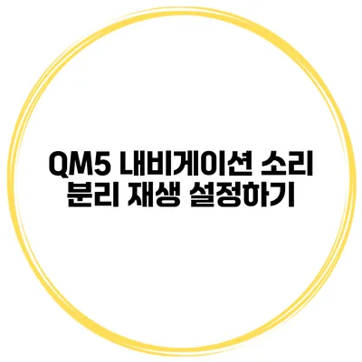 QM5 내비게이션 소리 분리 재생 설정하기