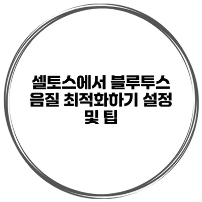 셀토스에서 블루투스 음질 최적화하기 설정 및 팁